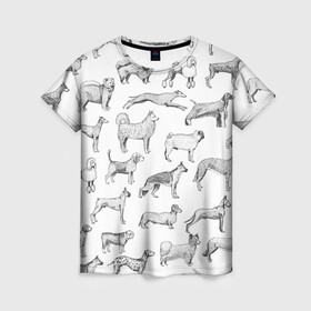 Женская футболка 3D с принтом ПОРОДЫ СОБАК С ФОТОГРАФИЯМИ , 100% полиэфир ( синтетическое хлопкоподобное полотно) | прямой крой, круглый вырез горловины, длина до линии бедер | бассет | бигль | боксер | борзая | бульдог | далматинец | доберман | дог | колли | лабрадор | милая собака | милые собаки | мопс | овчарка | папийон | пекинес | порода | пудель | сеттер | собака | собаки