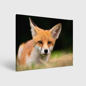 Холст прямоугольный с принтом Мордочка лисицы , 100% ПВХ |  | Тематика изображения на принте: fox | foxy | животное | звери | лиса | лисенок | лисичка | милая | рыжая | фокс