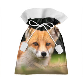 Подарочный 3D мешок с принтом Мордочка лисицы , 100% полиэстер | Размер: 29*39 см | Тематика изображения на принте: fox | foxy | животное | звери | лиса | лисенок | лисичка | милая | рыжая | фокс