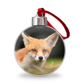 Ёлочный шар с принтом Мордочка лисицы , Пластик | Диаметр: 77 мм | Тематика изображения на принте: fox | foxy | животное | звери | лиса | лисенок | лисичка | милая | рыжая | фокс