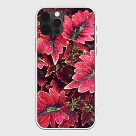 Чехол для iPhone 12 Pro Max с принтом Красные листья , Силикон |  | алый | красные листья | листопад | листья | осень | пурпурный | растение | текстуры | узор | экзотически растения