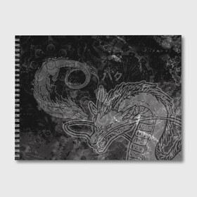 Альбом для рисования с принтом Haku Dragon , 100% бумага
 | матовая бумага, плотность 200 мг. | haku dragon | аниме.anime | герой | дракон | животные | зверь | мультик | мультфильм | персонаж | унесенные призраками | хаку