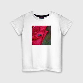 Детская футболка хлопок с принтом Муха на розе , 100% хлопок | круглый вырез горловины, полуприлегающий силуэт, длина до линии бедер | муха | насекомые | природа | роза | цветы
