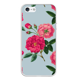 Чехол для iPhone 5/5S матовый с принтом Чайная роза , Силикон | Область печати: задняя сторона чехла, без боковых панелей | арт | пион | пионы | поле | поле цветов | рисунок | роза | розовая роза | розовые розы | розовые цветы | розовый цветок | розы | цветок | цветы | чайная роза