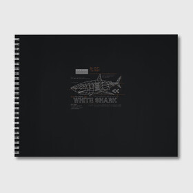 Альбом для рисования с принтом White Shark Белая акула , 100% бумага
 | матовая бумага, плотность 200 мг. | 3d | 3д | акула | белая акула | конструкция | проекция | рыба