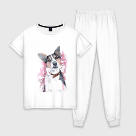 Женская пижама хлопок с принтом Долька , 100% хлопок | брюки и футболка прямого кроя, без карманов, на брюках мягкая резинка на поясе и по низу штанин | животные | питомцы | собака | собаки | терьер