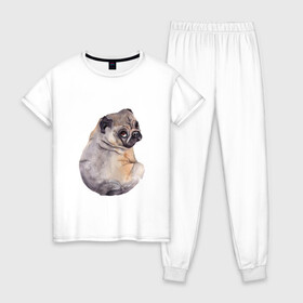 Женская пижама хлопок с принтом Мопс , 100% хлопок | брюки и футболка прямого кроя, без карманов, на брюках мягкая резинка на поясе и по низу штанин | животные | мопс | питомцы | собака | собаки