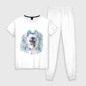Женская пижама хлопок с принтом Самоед , 100% хлопок | брюки и футболка прямого кроя, без карманов, на брюках мягкая резинка на поясе и по низу штанин | животные | лайка | питомцы | самоед | самоедская лайка | собака | собаки