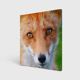 Холст квадратный с принтом Крупно мордочка лисы , 100% ПВХ |  | Тематика изображения на принте: fox | foxy | животное | звери | лиса | лисенок | лисичка | милая | рыжая | фокс
