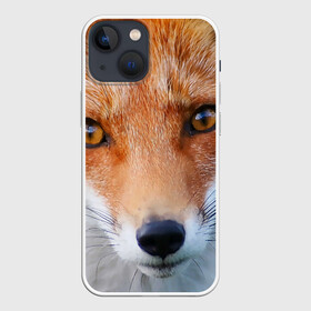 Чехол для iPhone 13 mini с принтом Крупно мордочка лисы ,  |  | fox | foxy | животное | звери | лиса | лисенок | лисичка | милая | рыжая | фокс
