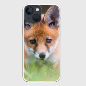 Чехол для iPhone 13 mini с принтом Лисенок в засаде ,  |  | fox | foxy | животное | звери | лиса | лисенок | лисичка | милая | рыжая | фокс