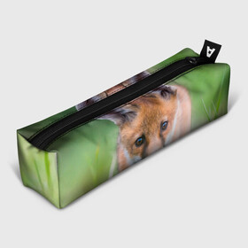 Пенал 3D с принтом Лисенок в засаде , 100% полиэстер | плотная ткань, застежка на молнии | fox | foxy | животное | звери | лиса | лисенок | лисичка | милая | рыжая | фокс