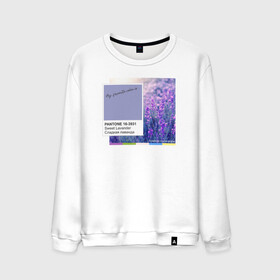 Мужской свитшот хлопок с принтом Panton Sweet Lavander , 100% хлопок |  | 16 3931 | color | lavander | panton | sweet lavander | лаванда | мило | модно | палитра | пантон | стильно | тренд | цвет | цветы