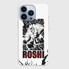 Чехол для iPhone 13 Pro с принтом Roshi ,  |  | anime | dragon ball | аниме | анимэ | бульма | драгон бал | дрэгон бол | жемчуг дракона | мутаэн роши | сон гоку | сунь укун | улонг | ямча