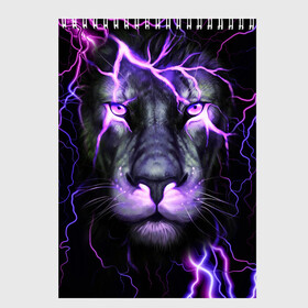 Скетчбук с принтом НЕОНОВЫЙ ЛЕВ  NEON LION , 100% бумага
 | 48 листов, плотность листов — 100 г/м2, плотность картонной обложки — 250 г/м2. Листы скреплены сверху удобной пружинной спиралью | lion | neon | голова | гроза | дикая кошка | животные | кот | кошка | лев | молния | неон | тигр | хищник