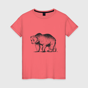 Женская футболка хлопок с принтом Медведь Гризли | Grizzly Bear , 100% хлопок | прямой крой, круглый вырез горловины, длина до линии бедер, слегка спущенное плечо | alaska | american bear | art | bears | canada | illustration | united states | ursus | usa | аляска | американский медведь | арт | бурый медведь | бурый мишка | иллюстрация | канада | косолапый | медвежонок | мишка | потапыч | рисунок