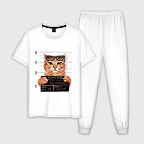 Мужская пижама хлопок с принтом РУТОЙ КОТ В ОЧКАХ ЗАКЛЮЧЕННЫЙ , 100% хлопок | брюки и футболка прямого кроя, без карманов, на брюках мягкая резинка на поясе и по низу штанин
 | cat | cats | cool | cute | funny | kitten | kitty | meow | pet | prisoner | в очках | заключенный | кот | котик | коты | кошка | кошки | милый
