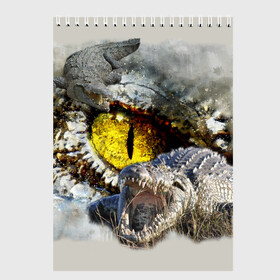 Скетчбук с принтом Глаз крокодила , 100% бумага
 | 48 листов, плотность листов — 100 г/м2, плотность картонной обложки — 250 г/м2. Листы скреплены сверху удобной пружинной спиралью | Тематика изображения на принте: аллигатор | глаз | крокодил | крокодильчик | ящер