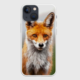 Чехол для iPhone 13 mini с принтом рыжая лисица ,  |  | fox | foxy | животное | звери | лиса | лисенок | лисичка | милая | рыжая | фокс