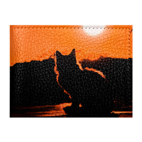 Обложка для студенческого билета с принтом Котенок на фоне заката , натуральная кожа | Размер: 11*8 см; Печать на всей внешней стороне | Тематика изображения на принте: закат | кот | котенок | кошка | солнце