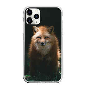 Чехол для iPhone 11 Pro матовый с принтом Хитрый Лис , Силикон |  | animals | beast | forest | fox | nature | orange | predator | red | животные | зверь | лес | лис | лиса | лисица | лисичка | природа | рыжая | рыжий | фыр | хитрый | хищник