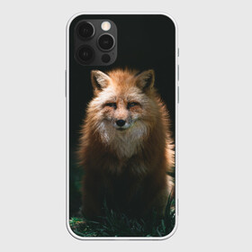 Чехол для iPhone 12 Pro Max с принтом Хитрый Лис , Силикон |  | Тематика изображения на принте: animals | beast | forest | fox | nature | orange | predator | red | животные | зверь | лес | лис | лиса | лисица | лисичка | природа | рыжая | рыжий | фыр | хитрый | хищник