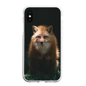 Чехол для iPhone XS Max матовый с принтом Хитрый Лис , Силикон | Область печати: задняя сторона чехла, без боковых панелей | animals | beast | forest | fox | nature | orange | predator | red | животные | зверь | лес | лис | лиса | лисица | лисичка | природа | рыжая | рыжий | фыр | хитрый | хищник