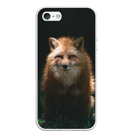 Чехол для iPhone 5/5S матовый с принтом Хитрый Лис , Силикон | Область печати: задняя сторона чехла, без боковых панелей | animals | beast | forest | fox | nature | orange | predator | red | животные | зверь | лес | лис | лиса | лисица | лисичка | природа | рыжая | рыжий | фыр | хитрый | хищник