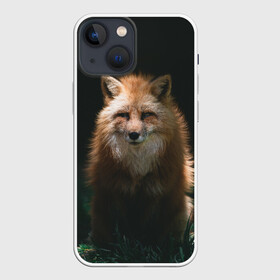 Чехол для iPhone 13 mini с принтом Хитрый Лис ,  |  | animals | beast | forest | fox | nature | orange | predator | red | животные | зверь | лес | лис | лиса | лисица | лисичка | природа | рыжая | рыжий | фыр | хитрый | хищник