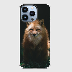 Чехол для iPhone 13 Pro с принтом Хитрый Лис ,  |  | animals | beast | forest | fox | nature | orange | predator | red | животные | зверь | лес | лис | лиса | лисица | лисичка | природа | рыжая | рыжий | фыр | хитрый | хищник