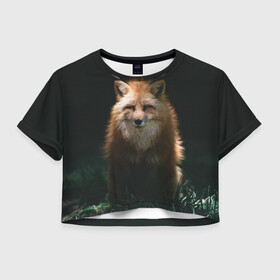Женская футболка Crop-top 3D с принтом Хитрый Лис , 100% полиэстер | круглая горловина, длина футболки до линии талии, рукава с отворотами | animals | beast | forest | fox | nature | orange | predator | red | животные | зверь | лес | лис | лиса | лисица | лисичка | природа | рыжая | рыжий | фыр | хитрый | хищник