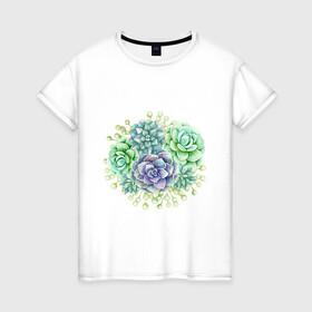 Женская футболка хлопок с принтом рисунок суккуленты , 100% хлопок | прямой крой, круглый вырез горловины, длина до линии бедер, слегка спущенное плечо | акварель | букет | зеленый | природа | растения | рисунок | свежий | суккуленты | экзотический