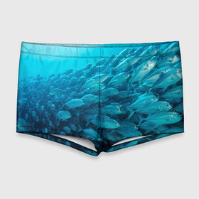 Мужские купальные плавки 3D с принтом Морской мир , Полиэстер 85%, Спандекс 15% |  | вода | море | морская вода | морские животные | морские жители | морской мир | океан | рыбки | рыбы