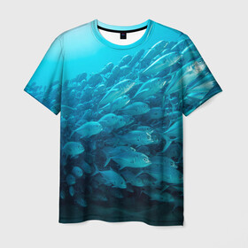 Мужская футболка 3D с принтом Морской мир , 100% полиэфир | прямой крой, круглый вырез горловины, длина до линии бедер | вода | море | морская вода | морские животные | морские жители | морской мир | океан | рыбки | рыбы
