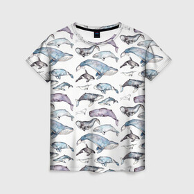 Женская футболка 3D с принтом киты паттерн , 100% полиэфир ( синтетическое хлопкоподобное полотно) | прямой крой, круглый вырез горловины, длина до линии бедер | ocean | sea | sea animal | акварель | графика | касатка | киты | море | океан | рисунок кита