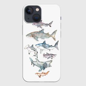 Чехол для iPhone 13 mini с принтом акулы ,  |  | ocean | sea | sea animal | акварель | акула | море | океан | рисунок