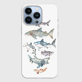 Чехол для iPhone 13 Pro с принтом акулы ,  |  | ocean | sea | sea animal | акварель | акула | море | океан | рисунок