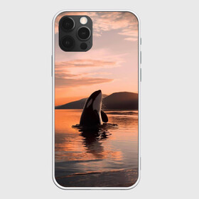 Чехол для iPhone 12 Pro с принтом касатки на закате , силикон | область печати: задняя сторона чехла, без боковых панелей | ocean | orca | sea | sea animal | дельфин | закат | касатка | кит | море | океан | рисунок кита