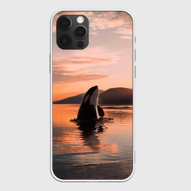 Чехол для iPhone 12 Pro Max с принтом касатки на закате , Силикон |  | ocean | orca | sea | sea animal | дельфин | закат | касатка | кит | море | океан | рисунок кита