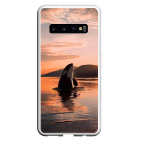 Чехол для Samsung Galaxy S10 с принтом касатки на закате , Силикон | Область печати: задняя сторона чехла, без боковых панелей | ocean | orca | sea | sea animal | дельфин | закат | касатка | кит | море | океан | рисунок кита
