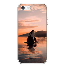 Чехол для iPhone 5/5S матовый с принтом касатки на закате , Силикон | Область печати: задняя сторона чехла, без боковых панелей | ocean | orca | sea | sea animal | дельфин | закат | касатка | кит | море | океан | рисунок кита
