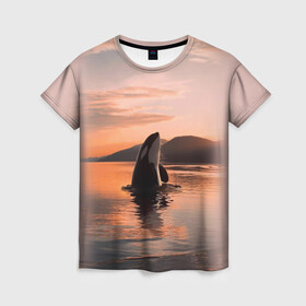 Женская футболка 3D с принтом касатки на закате , 100% полиэфир ( синтетическое хлопкоподобное полотно) | прямой крой, круглый вырез горловины, длина до линии бедер | ocean | orca | sea | sea animal | дельфин | закат | касатка | кит | море | океан | рисунок кита