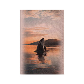 Обложка для паспорта матовая кожа с принтом касатки на закате , натуральная матовая кожа | размер 19,3 х 13,7 см; прозрачные пластиковые крепления | Тематика изображения на принте: ocean | orca | sea | sea animal | дельфин | закат | касатка | кит | море | океан | рисунок кита