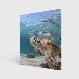 Холст квадратный с принтом Морская черепаха , 100% ПВХ |  | море | морская | океан | подводный мир | рыбы | черепаха