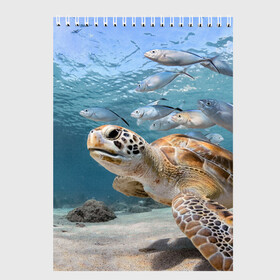 Скетчбук (блокнот) с принтом Морская черепаха , 100% бумага
 | 48 листов, плотность листов — 100 г/м2, плотность картонной обложки — 250 г/м2. Листы скреплены сверху удобной пружинной спиралью | море | морская | океан | подводный мир | рыбы | черепаха