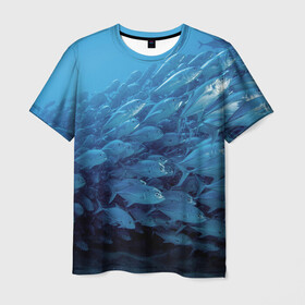 Мужская футболка 3D с принтом Морские рыбы , 100% полиэфир | прямой крой, круглый вырез горловины, длина до линии бедер | косяк | море | океан | подводный мир | рыбки | рыбы