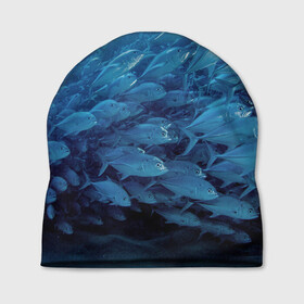 Шапка 3D с принтом Морские рыбы , 100% полиэстер | универсальный размер, печать по всей поверхности изделия | Тематика изображения на принте: косяк | море | океан | подводный мир | рыбки | рыбы