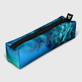 Пенал школьный 3D с принтом Фото дайвинг , 100% полиэстер | плотная ткань, застежка на молнии | дайвер | косяк | море | океан | подводный мир | рыбки | рыбы | фото дайвинг