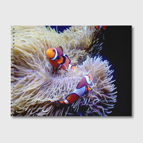 Альбом для рисования с принтом Клоуны в актинии , 100% бумага
 | матовая бумага, плотность 200 мг. | Тематика изображения на принте: актиния | клоуны | коралловые | море | подводный мир | рыбки
