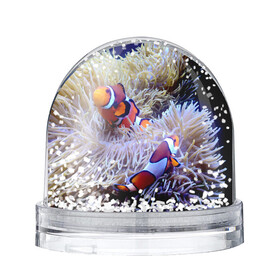 Игрушка Снежный шар с принтом Клоуны в актинии , Пластик | Изображение внутри шара печатается на глянцевой фотобумаге с двух сторон | актиния | клоуны | коралловые | море | подводный мир | рыбки